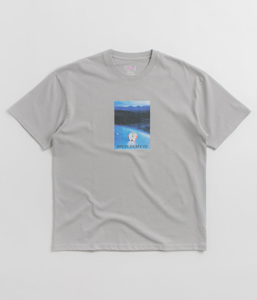 Polar Core T-Shirt - Silver